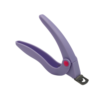 o¡rta tips - 2022-11-22T182348.953