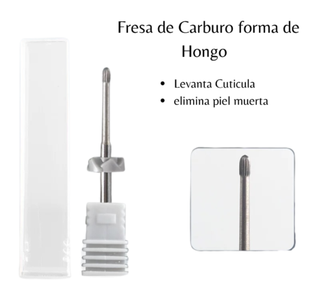 Sin título (480 x 420 px) (520 x 480 px) (7)