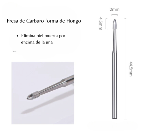 Sin título (480 x 420 px) (520 x 480 px) (8)